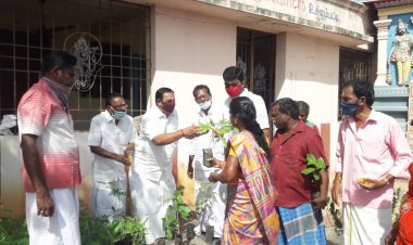 உசிலம்பட்டியில் ராகுல் காந்தி பிறந்த நாள் விழா காங்கிரஸ் சார்பில் மரக்கன்றுகள்