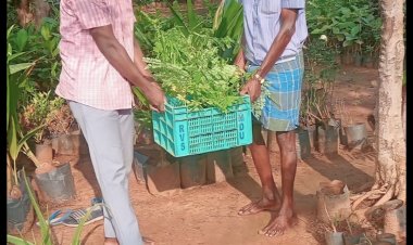 வெடிக்கு பதில் செடி உசிலம்பட்டி மாணவனின் புதிய முயற்சி குவியும் பாராட்டு