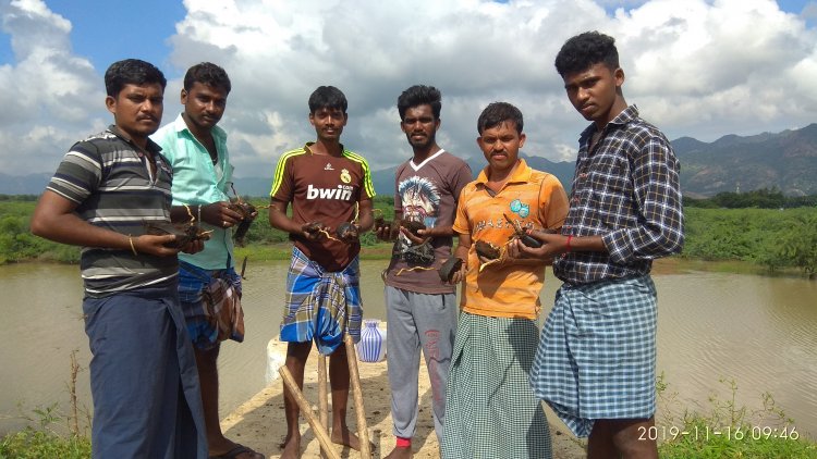 துணை நிற்கும் பனைமரம், கிராமப்புறங்களில் நீர் நிலைகளை பாதுகாக்க உசிலம்பட்டி அருகே  இளைஞர்கள் ஆர்வம்