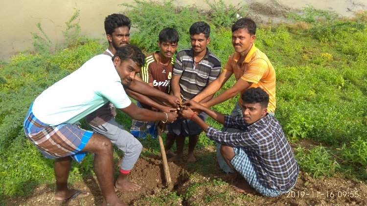 துணை நிற்கும் பனைமரம், கிராமப்புறங்களில் நீர் நிலைகளை பாதுகாக்க உசிலம்பட்டி அருகே  இளைஞர்கள் ஆர்வம்