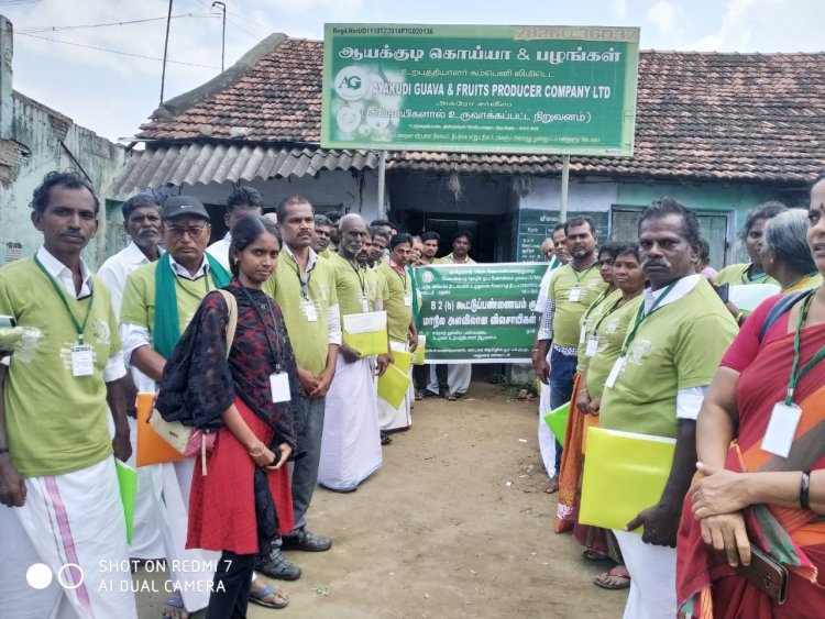 மதுரை மேற்கு, 12 யூனியன் விவசாயிகளுக்கு கூட்டுபண்ணையம் குறித்த மாநில அளவிலான விவசாயிகள் பயிற்சி