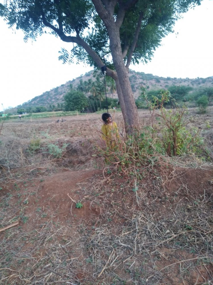 உசிலம்பட்டி அருகே இளம்பெண் தூக்கிட்டு தற்கொலை காரணம் என்ன?