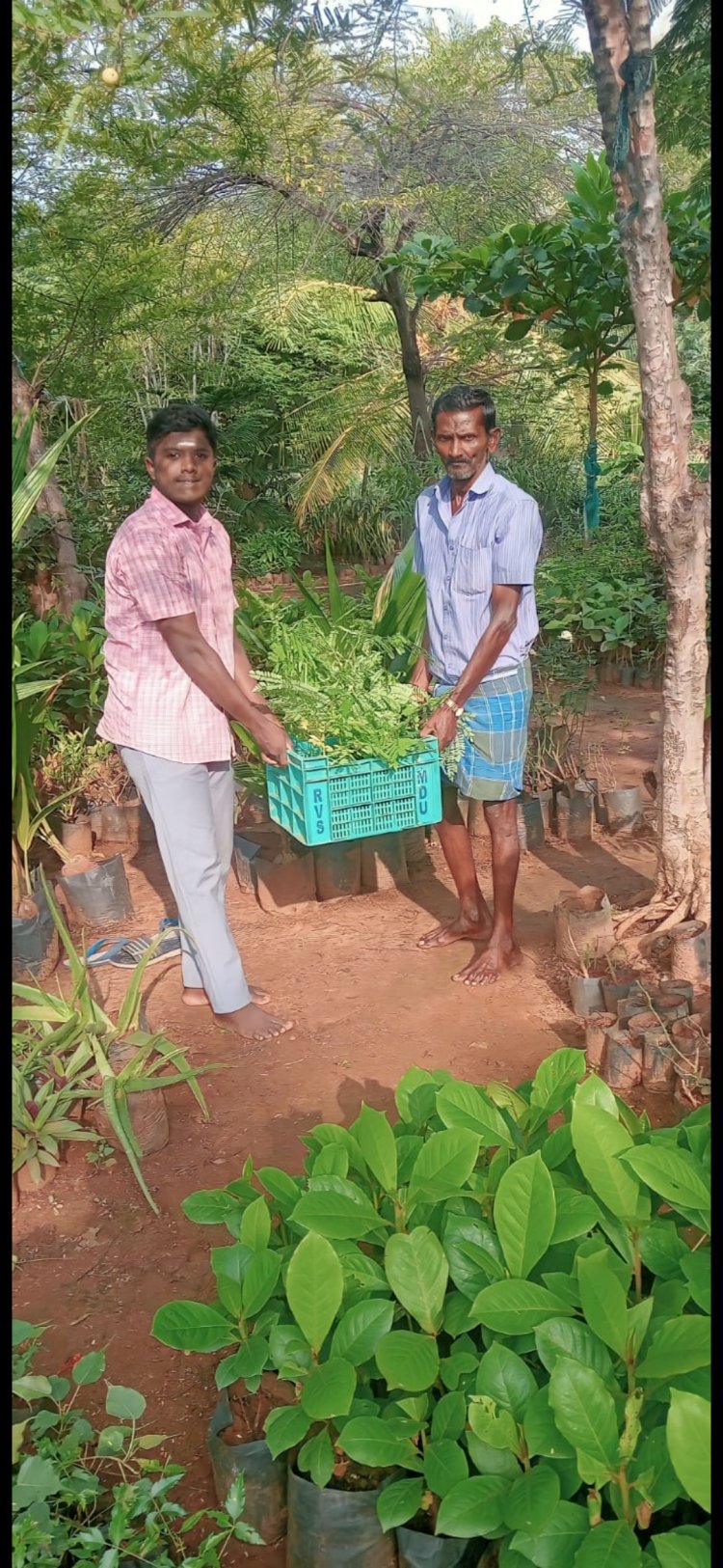 வெடிக்கு பதில் செடி உசிலம்பட்டி மாணவனின் புதிய முயற்சி குவியும் பாராட்டு