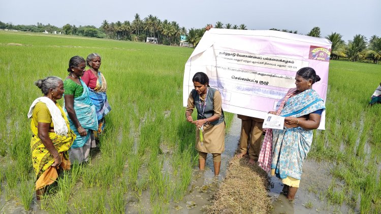 அறிவியல் தகவலுடன் விவசாயிகளுக்கு விளக்கிகூறிய வேளாண் மாணவி கோபிகா