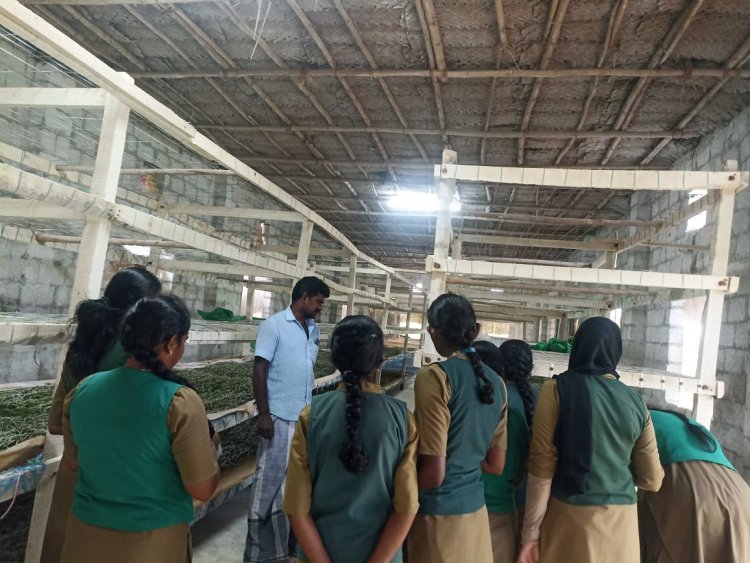 பட்டுப்பூச்சி வளர்ப்பு பிரிவில் வேளாண் கல்லூரி மாணவிகள்